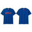 画像5: ドライTシャツ｜胸中央横長ロゴ(フルカラー) (5)
