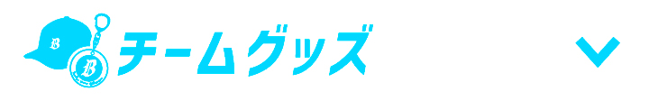 チームグッズ